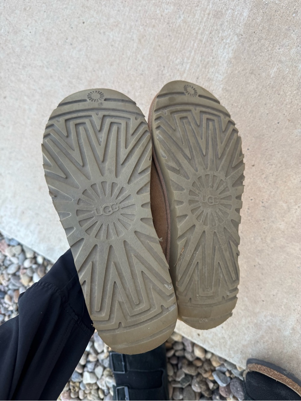 UGG Tazman Chestnut clogs - Picture 3 of 4